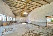 1954m² warehouse industrial for sale in Aspe, photo