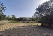 Restaurante en venta en Lérida, Autovia del Nordest foto