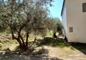 Nave Industrial en venta con 236m² en Jaén foto