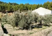 Nave Industrial en venta con 236m² en Jaén foto