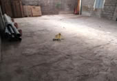 Nave Industrial en venta con 236m² en Jaén foto