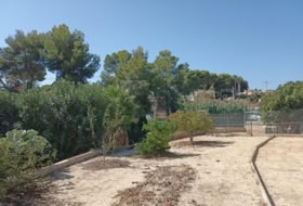 Foto 18
