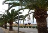 Nave Industrial en venta con 650m² en Aspe foto
