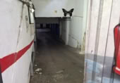 700m² commercial premises for sale in Oviedo, photo