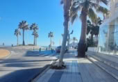  restaurant for sale in Alfaz del Pi, Calle Carretera del Albir photo