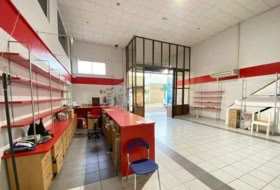 Foto 8