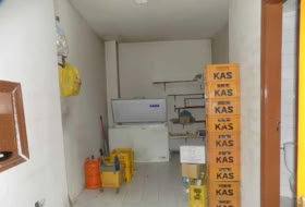 Foto 7