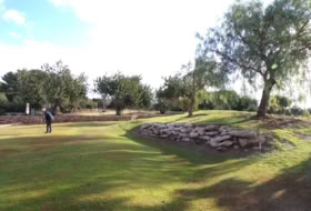 Foto 12