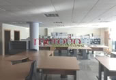 275m² office for rent in Elche, photo