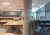 550m² office for rent in Elche, photo