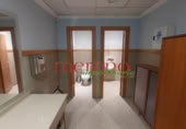 550m² office for rent in Elche, photo