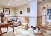 149m² building for sale in Elche, photo