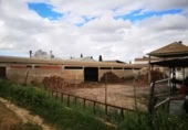 Nau Industrial
en venda
amb 777m² a Huete foto