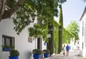 467m² hotel for sale in Ronda, photo
