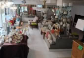 Local comercial
en venda
amb 212m² a Elx foto