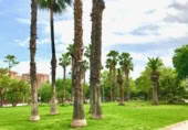Local comercial en venta con 153m² en Castellón de la Plana foto