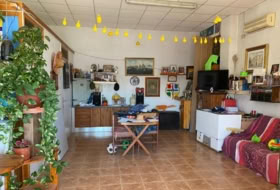 Foto 13