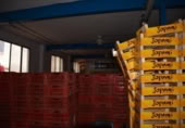  warehouse industrial for sale in Monforte del Cid, photo