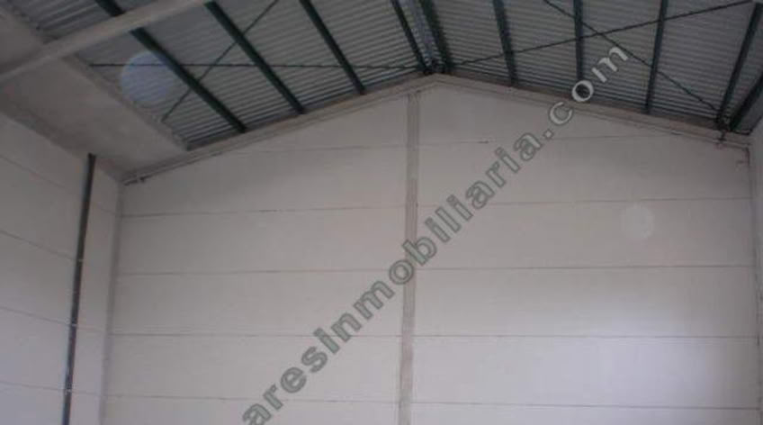 Nave