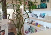 Perruqueria
en venda
amb 105m² a Elx foto
