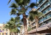 Hotel en venta con 3530m² en Lloret de Mar foto