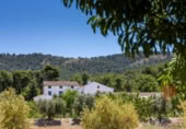 Hotel en venta con 1000m² en Biar foto