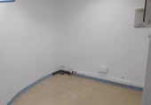 50m² locaux commerciaux avec locataires pour vente à Pampelune, photo
