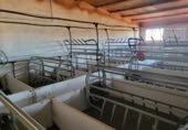 Nave en venta en Azuaga foto