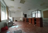 1184m² warehouse industrial for sale in Novelda, photo