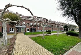 Foto 8