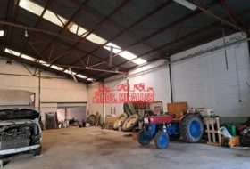 Foto 5