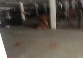 3700m² warehouse industrial for sale in Elche, photo