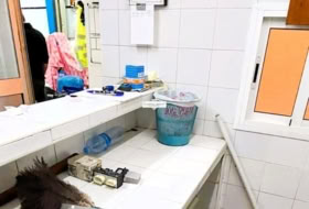 Foto 8