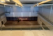 1022m² entrepôt pour vente à Gelves, photo
