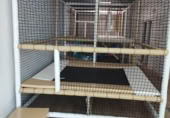 Local comercial
en venda
amb 112m² a Alacant foto