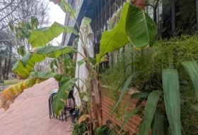 Foto 15
