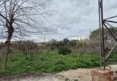Nave Industrial en venta con 750m² en Algezares foto