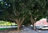 40m² offices for sale in Valencia, in the area of l'Hort de Senabre, Calle de los Carteros photo