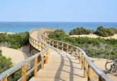 135m² commercial premises for sale in Guardamar del Segura, photo