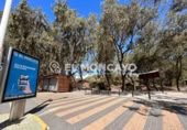 135m² commercial premises for sale in Guardamar del Segura, photo