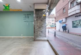 Foto 19