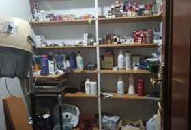 Foto 11