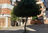 45m² bar for sale in Córdoba, in the area of Santiago, Calle Postrera photo