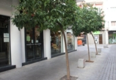 Local comercial
en venda
amb 126m² a Còrdova, a la zona de Santiago, Calle Morería foto