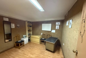 Foto 10