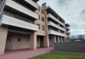 Local comercial
en venda
amb 24m² a Santo Domingo de la Calzada foto