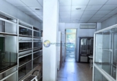 128m² commercial premises for rent in Madrid, in the area of Ventas photo