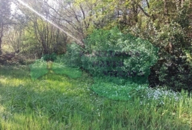 Foto 18