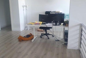 Foto 13