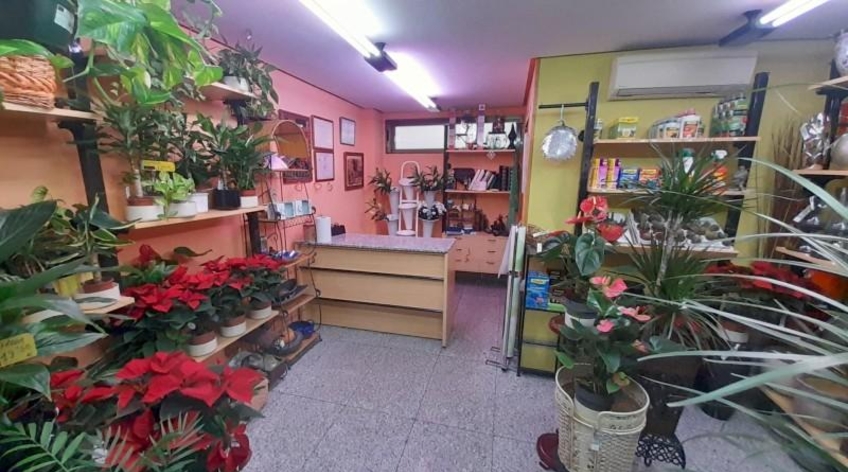 Local comercial